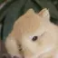 うゆのプロフィール画像