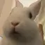 さやさやのプロフィール画像