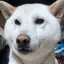 とこのプロフィール画像