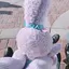 Sのプロフィール画像