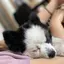 ますだしのプロフィール画像