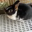 ミカンのプロフィール画像