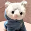 しょぴにゃんのプロフィール画像