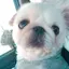 Saaのプロフィール画像