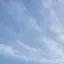 ららのプロフィール画像