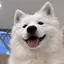 natsuのプロフィール画像