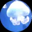 SEchanのプロフィール画像