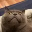 娟娟のプロフィール画像