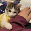 ゆりかのプロフィール画像