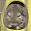 あすのプロフィール画像