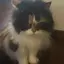 はるちゃんのプロフィール画像