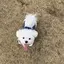 ものプロフィール画像