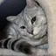 mimiのプロフィール画像