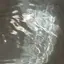 すのプロフィール画像