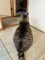 ゆうこのプロフィール画像