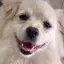 Fのプロフィール画像