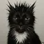 もやしのプロフィール画像