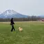 yuuriのプロフィール画像