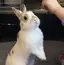 mikanのプロフィール画像