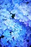 ruriのプロフィール画像