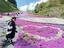 みるきぃのプロフィール画像