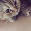 みっすーのプロフィール画像