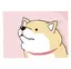 公佑のプロフィール画像