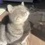 きらのプロフィール画像