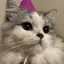 yuuuのプロフィール画像