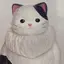 runaのプロフィール画像