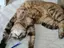 まりぃのプロフィール画像