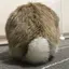 ヒーヤンのプロフィール画像
