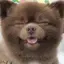りなのプロフィール画像