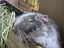 ゆんのプロフィール画像