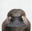 みどりのプロフィール画像