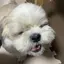 MIOのプロフィール画像