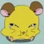 おかゆのプロフィール画像
