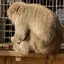 みーちゃんのプロフィール画像