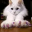 みさんのプロフィール画像