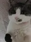 キヨミのプロフィール画像