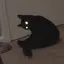 Sのプロフィール画像