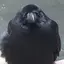 やのプロフィール画像