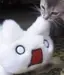 あゆのプロフィール画像