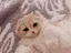 ナナのプロフィール画像