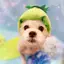 m.yのプロフィール画像