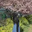 ほしこのプロフィール画像