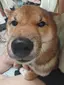 石田未得のプロフィール画像