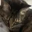 ちぃのプロフィール画像