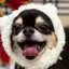 Mのプロフィール画像