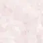 miiのプロフィール画像
